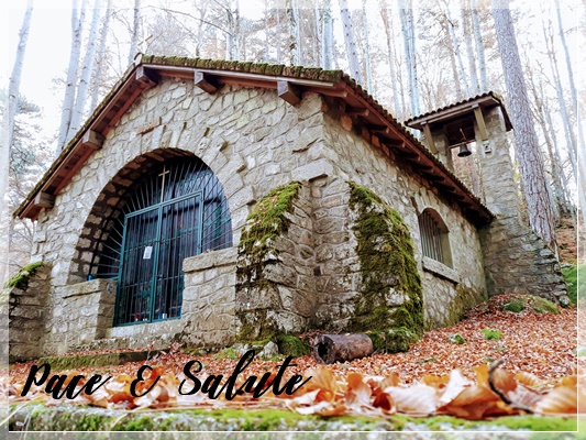 Notre Dame de la Forêt
